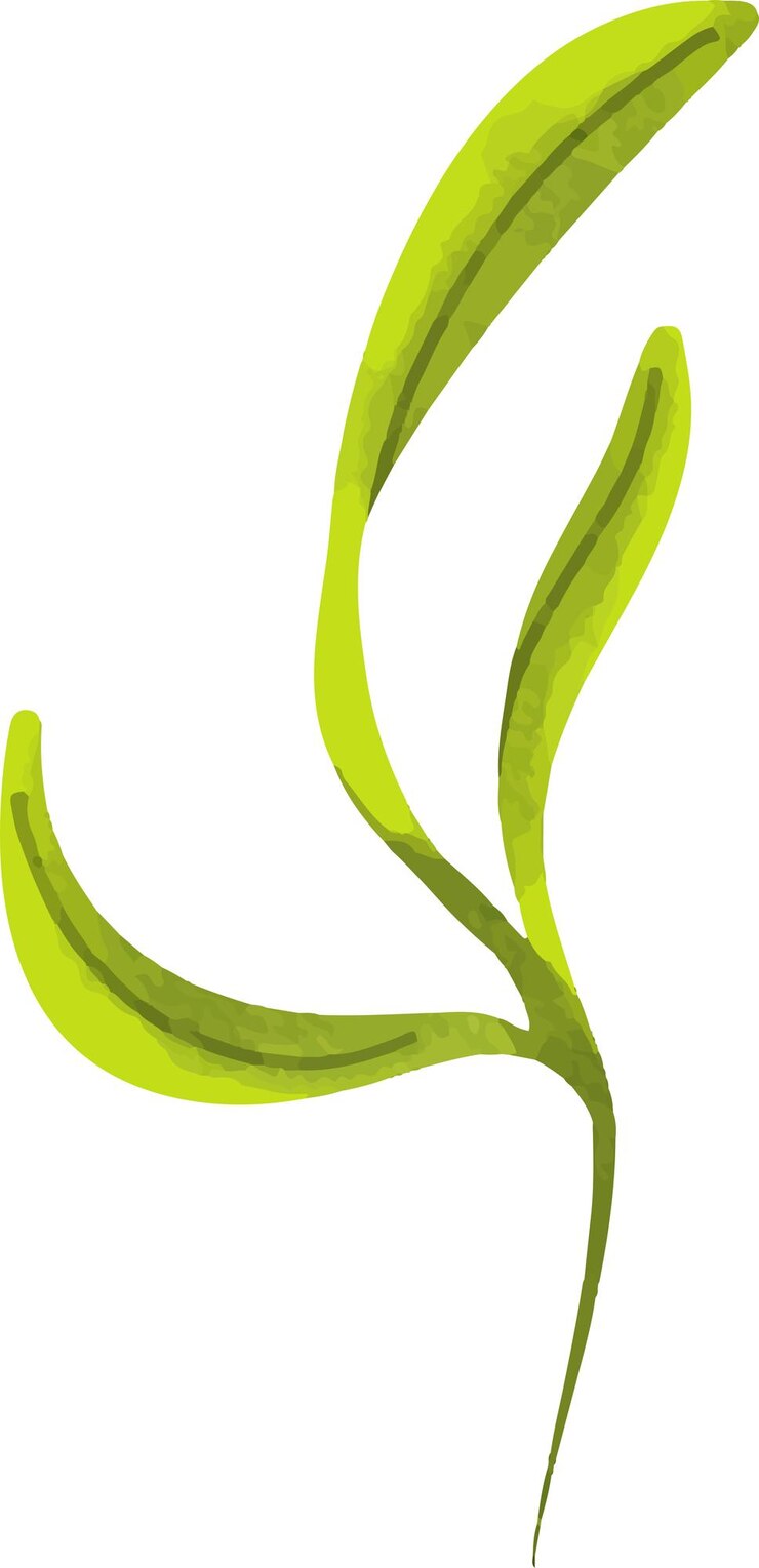 Vector clip art acuarela ilustración de plantas coloridas florales y hojas para papel tapiz de patrón sin costuras