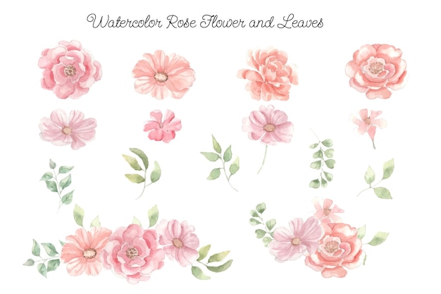 Vector clip art y arreglo de flores de acuarela rosa naranja y rosa