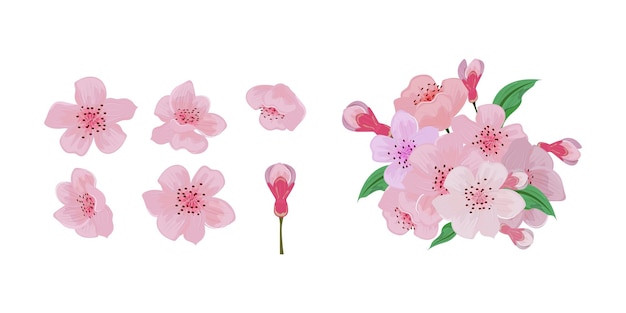 El clip art de la flor del cerezo
