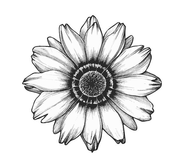 Clip art una flor negra y con fondo