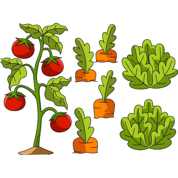 Vector clipart de color de dibujos animados de campo vegetal