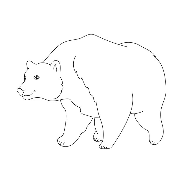 Clipart de dibujos animados de osos Animales silvestres Set de clipart para los amantes de la vida silvestre