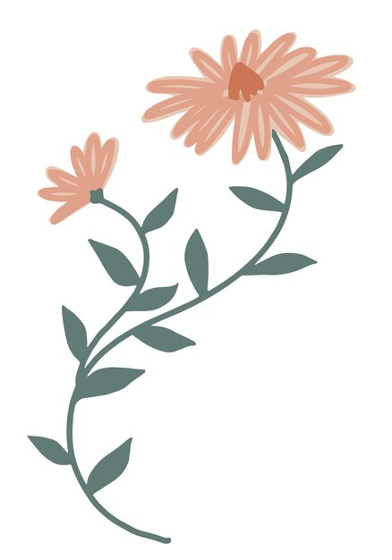 Clipart de una flor simple Ilustración vectorial botánica abstracta dibujada a mano aislada en blanco