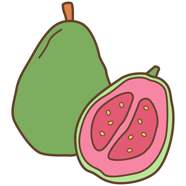Clipart de la fruta de la guayaba