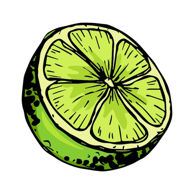 Vector clipart de lima vectorial icono de cítricos dibujado a mano ilustración de frutas para imprimir decoración de diseño web