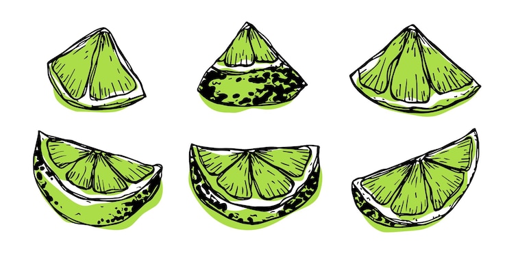 Vector clipart de limón vectorial conjunto de cítricos dibujado a mano ilustración de frutas para decoración de diseño web de impresión