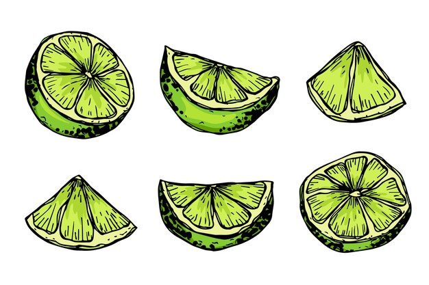 Clipart de limón vectorial Conjunto de cítricos dibujado a mano Ilustración de frutas Para decoración de diseño web de impresión
