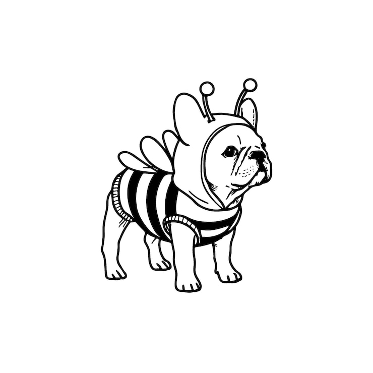 Clipart - lindo, bulldog francés, llevando, disfraz, para, halloween