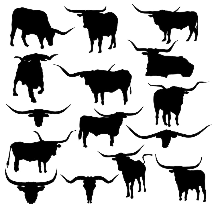 Vector clipart de long horn cattle animals america forest