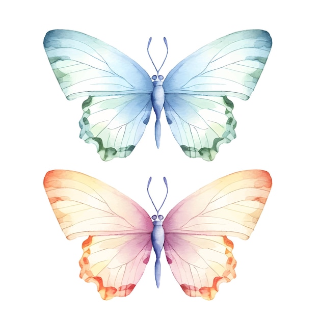 clipart de mariposa de colores
