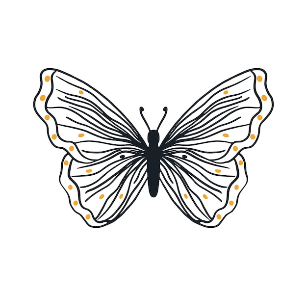 Vector clipart mariposa insecto dibujado a mano