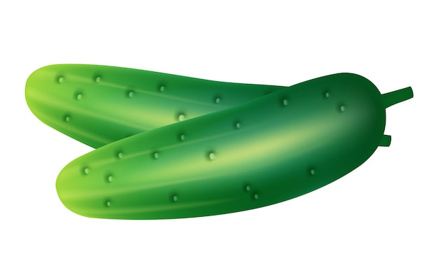Clipart del vector del pepino aislado sobre un fondo blanco