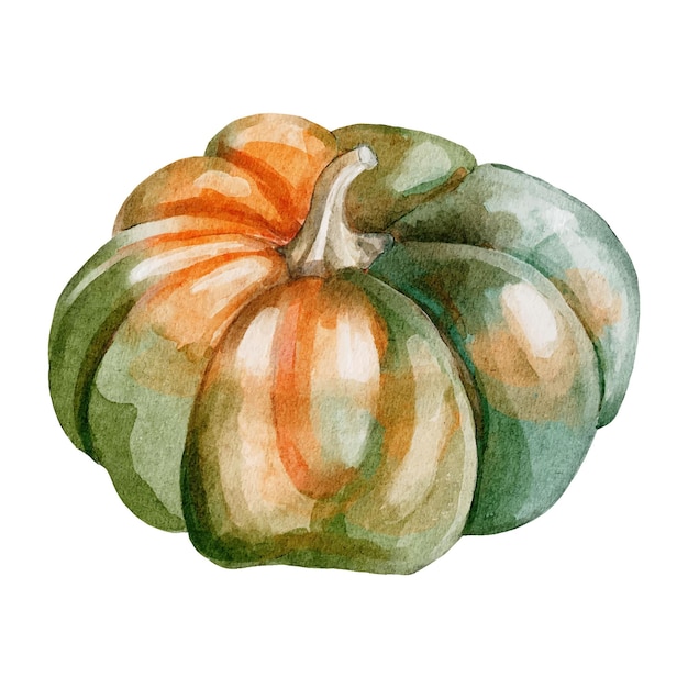 Clipart vectorial acuarela de calabaza aislada sobre fondo blanco