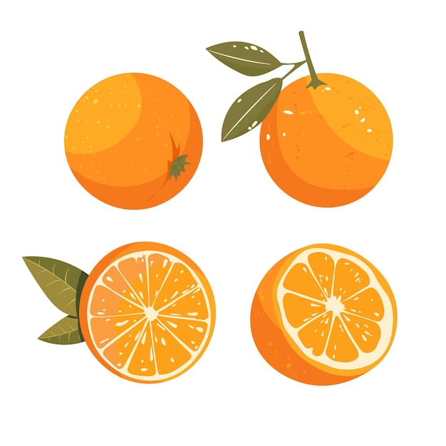 Clipart vectorial de Doodle Naranja brillante y jugoso Fácil de cambiar de color