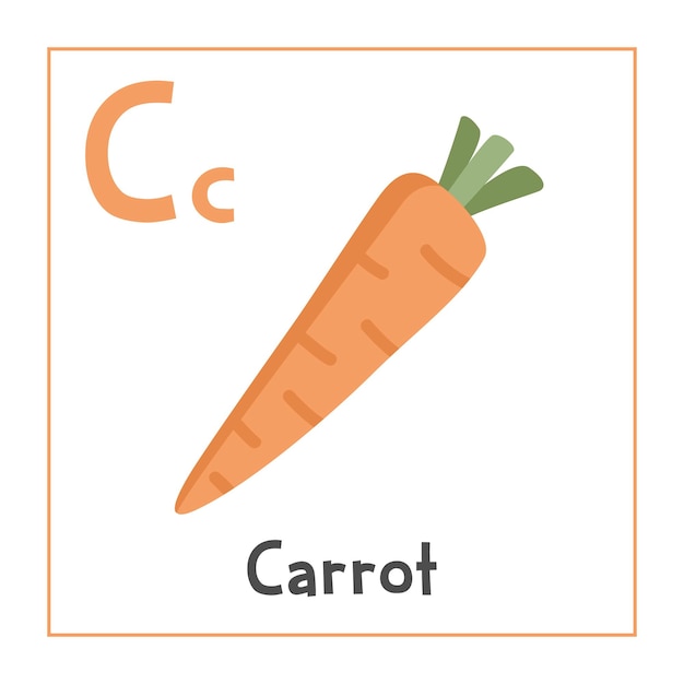Clipart de zanahoria ilustración vectorial de zanahoria estilo plano de dibujos animados las verduras comienzan con la letra c