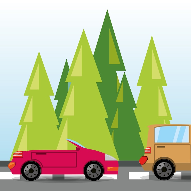 Vector coche y camión sobre rood con paisaje forestal