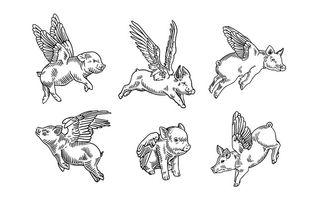 Cochinillo con alas Ilustraciones de estilo de grabado dibujadas a mano