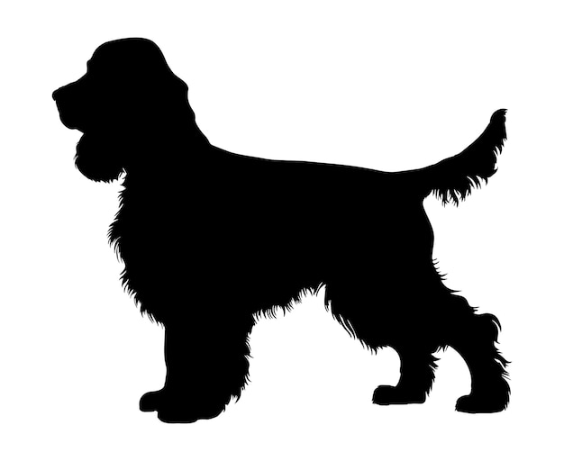 Vector cocker spaniel de pie silueta de perro ilustración vectorial