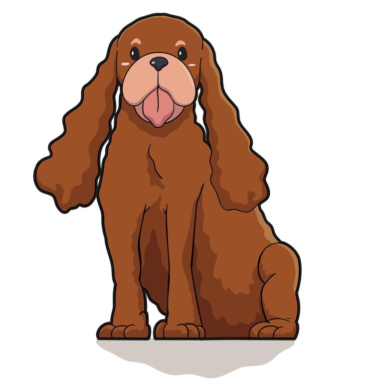 Vector cocker spaniel en vista frontal sobre fondo blanco.