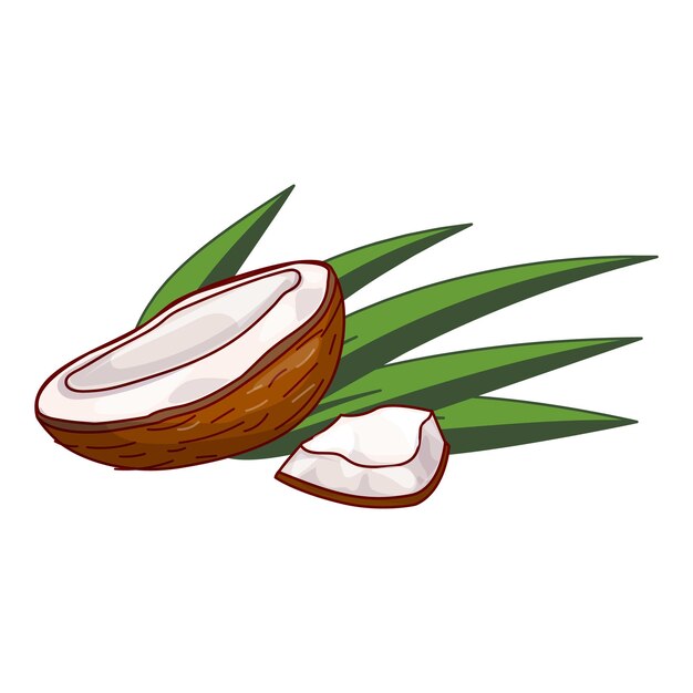 Coco acostado en hojas de palma con un pedazo de coco