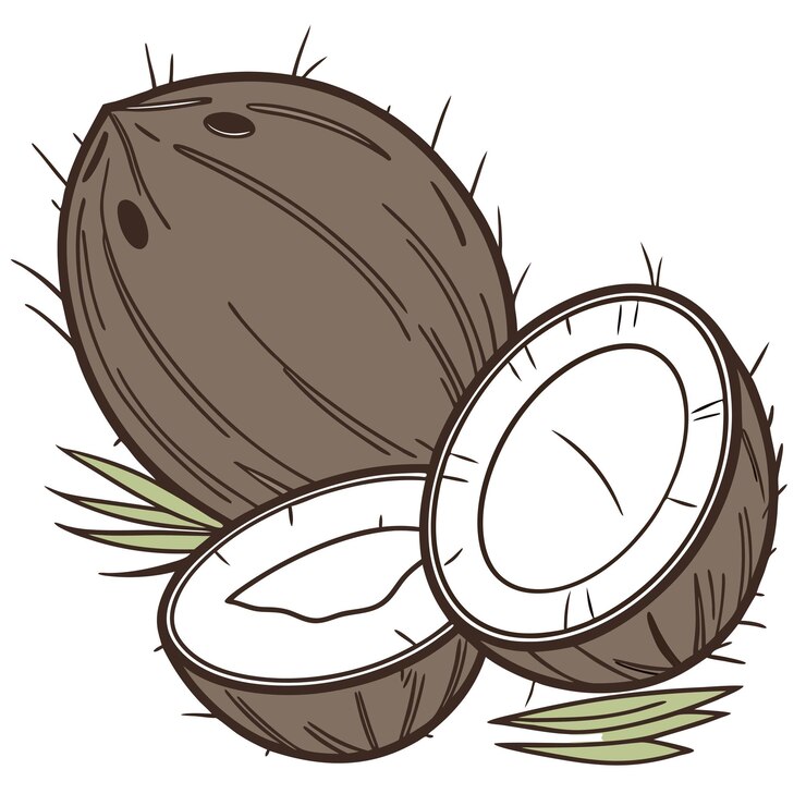 Vector un coco cortado con un interior blanco aislado en un fondo plano