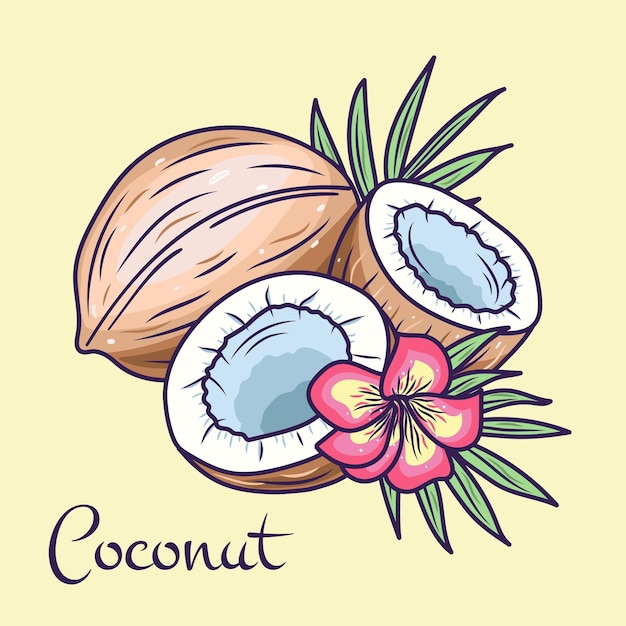 Coco Emblema de producto de coco entero y agrietado aislado para etiqueta de producto de fruta
