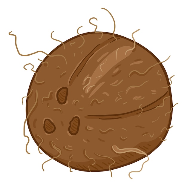 Coco entero de dibujos animados de vector