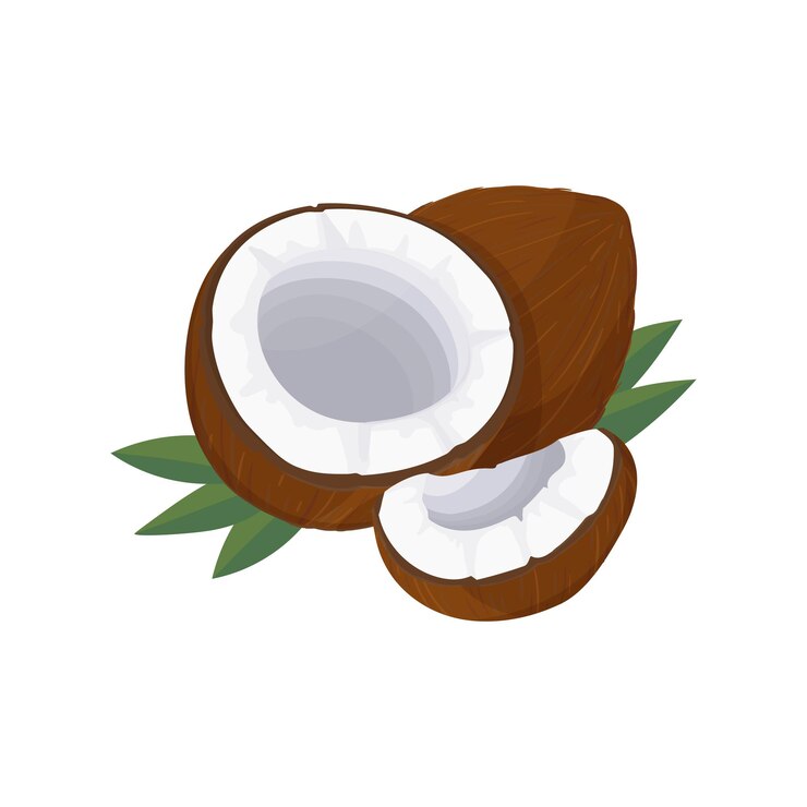 Vector coco entero y partido por la mitad y una pieza ícono de coco de dibujos animados leche de coco