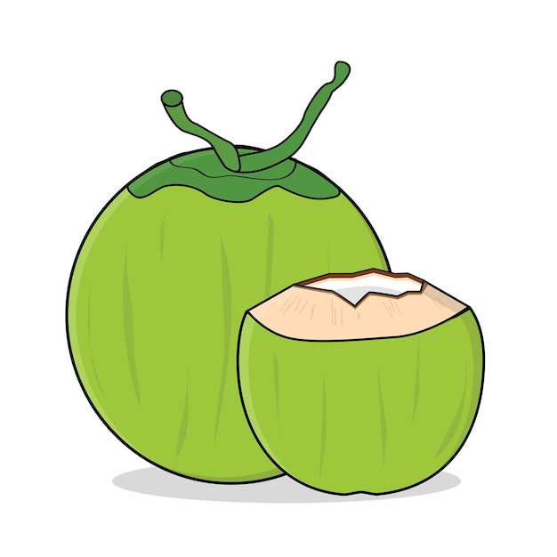 coco fresco agua de coco vector de coco diseño de logotipo ilustración de icono de dibujos animados