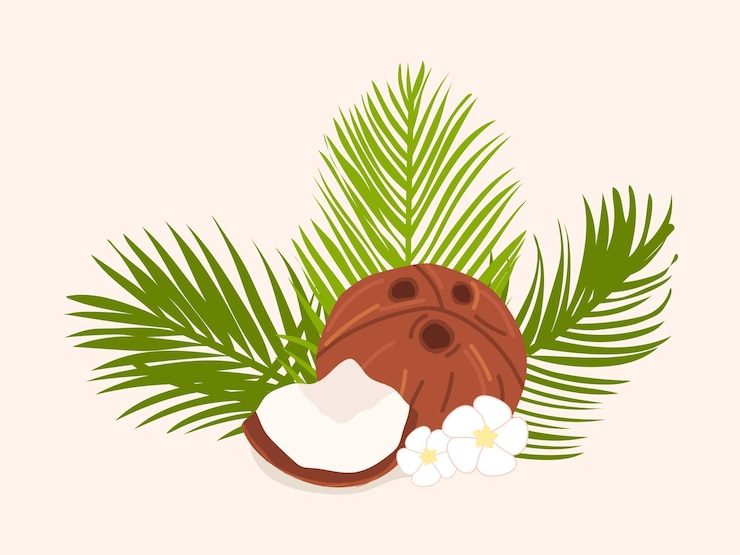 Vector el coco la fruta tropical es el coco los chips de coco el coco creció en una palmera la leche de coco un cóctel artístico una fruta pintada en un vector de estilo plano leche deliciosa