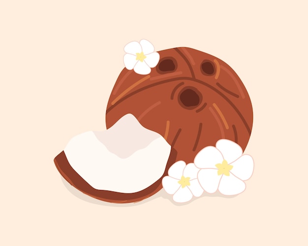 el coco la fruta tropical es el coco los chips de coco el coco creció en una palmera la leche de coco un cóctel artístico una fruta pintada en un vector de estilo plano leche deliciosa