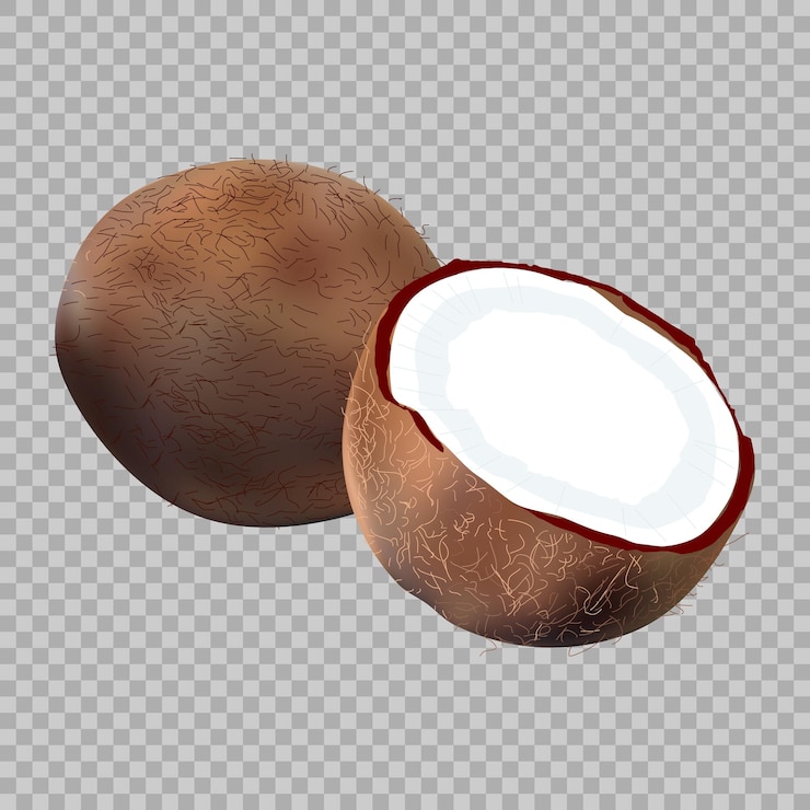 Vector un coco con la palabra coco