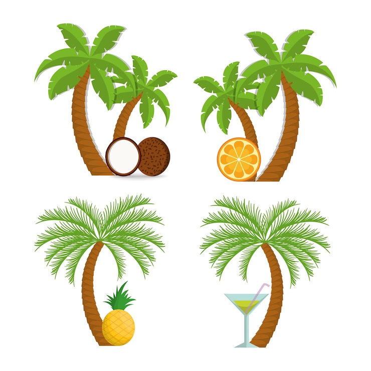 Vector coco piña naranja cóctel y palmera de diseño.
