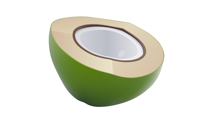Vector coco verde y medio trozo de coco aislado sobre un fondo blanco coco verde fresco vector