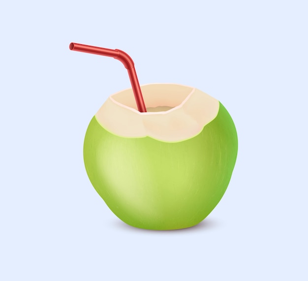 Coco verde con paja Ilustración vectorial realista