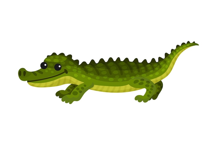 Vector cocodrilo cocodrilo con cola larga y dientes afilados como ilustración vectorial de animales africanos