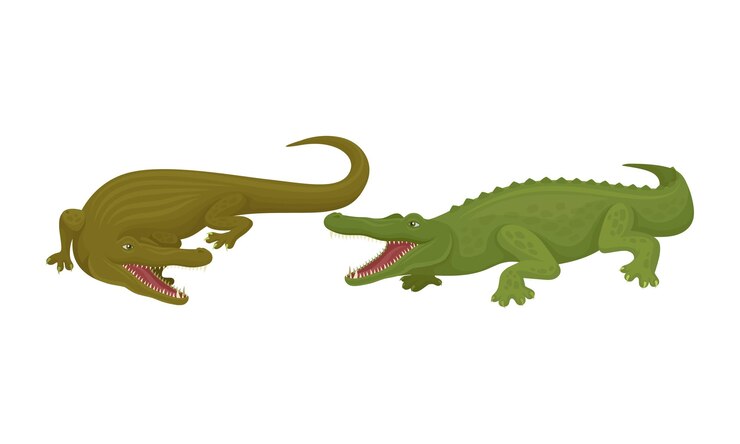 Vector cocodrilo como conjunto de vectores de reptiles semiacuáticos depredadores verdes