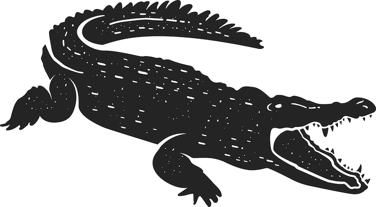 Vector cocodrilo gran reptil acuático con un hocico largo y dientes afilados
