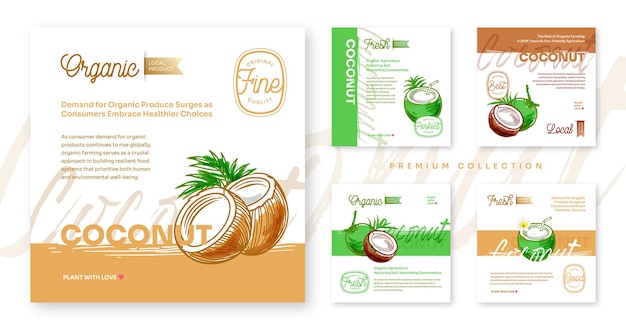 Cocos dibujados a mano frutas tropicales exóticas vector post volante y colección de plantillas de diseño de etiquetas