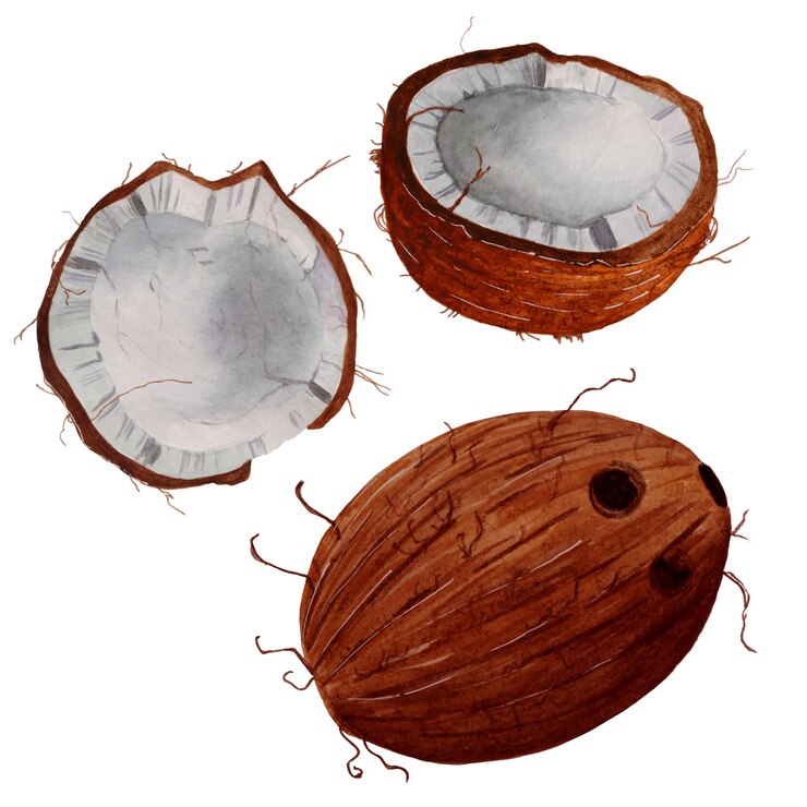 Vector cocos