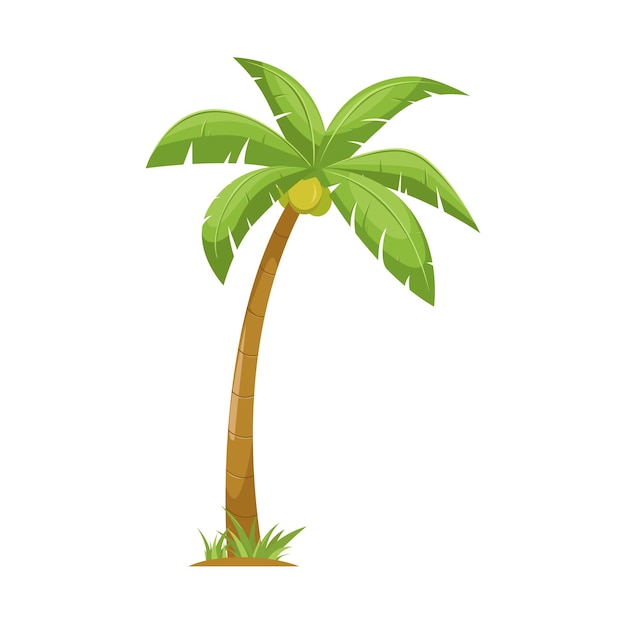 Vector cocotero, diseño de vector de ilustración de palmera