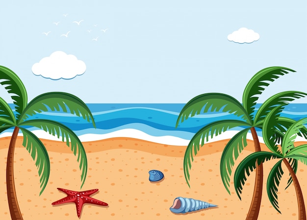 Cocoteros en la playa