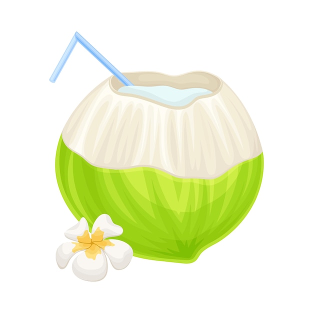 Cóctel de coco subtropical en cáscara de coco verde con ilustración vectorial de flores de paja y plumeria