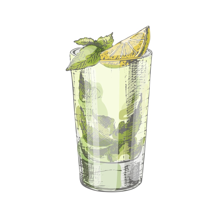 Vector cóctel de mojito con lima y menta en vaso alto. ilustración de color de vector de eclosión de la vendimia. aislado sobre fondo blanco