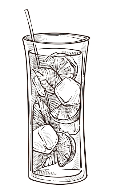Cóctel de mojito en vidrio boceto aislado lima limón y menta