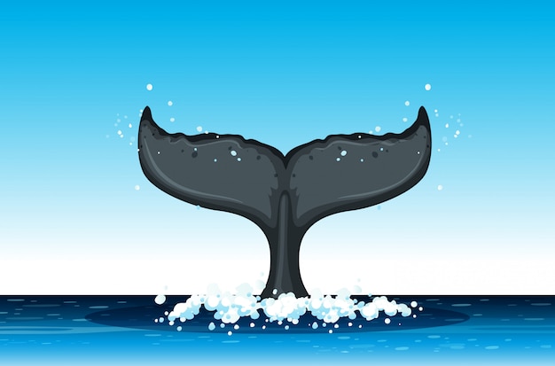 Cola de ballena jorobada en el océano