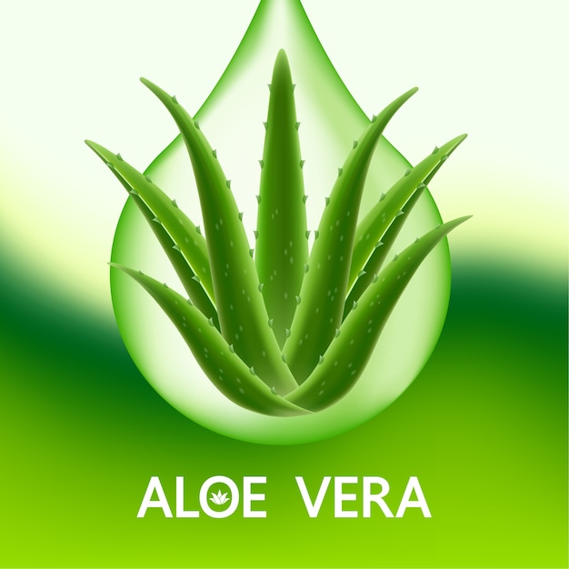 Vector colágeno y suero de aloe vera para el cuidado de la piel cosmético.