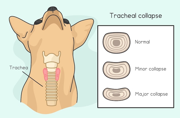 Colapso traqueal en perros kawaii doodle ilustración vectorial de dibujos animados plana