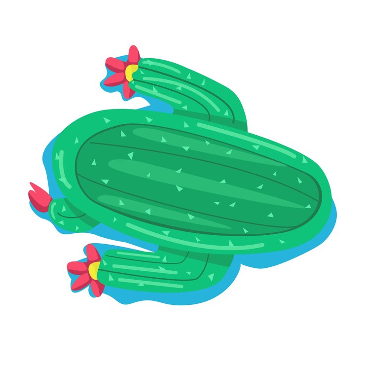 Vector colchón de aire en forma de cactus objeto vectorial de color semiplano