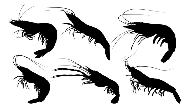 Colección de 6 artículos de ilustración vectorial de silueta de camarón